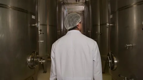 Professional winemaker controlling wine making process and quality at winer.. Stock Footage 286715063