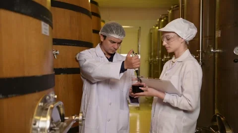 Professional winemaker controlling wine making process and quality at winer.. Stock Footage 286715506