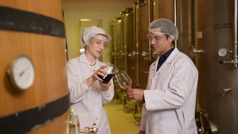 Professional winemaker controlling wine making process and quality at winer.. Stock Footage 286715540