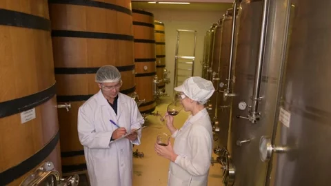Professional winemaker controlling wine making process and quality at winer.. Stock Footage 286715561