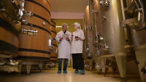 Professional winemaker controlling wine making process and quality at winer.. Stock Footage 286715585