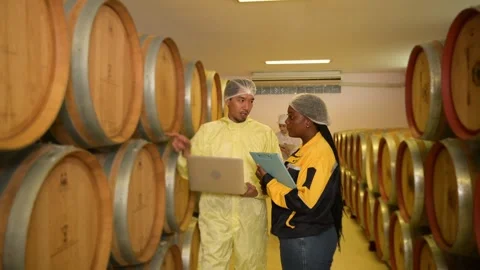 Professional winemaker controlling wine making process and quality at winer.. Stock Footage 286715588