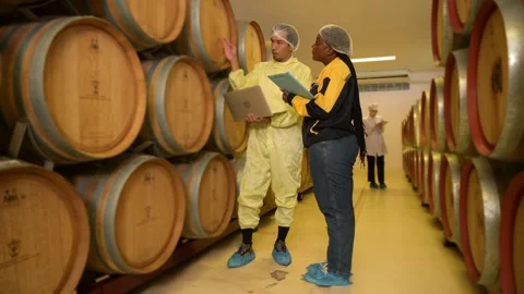 Professional winemaker controlling wine making process and quality at winer.. Stock Footage 286715601