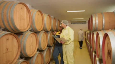 Professional winemaker controlling wine making process and quality at winer.. Stock Footage 286715636