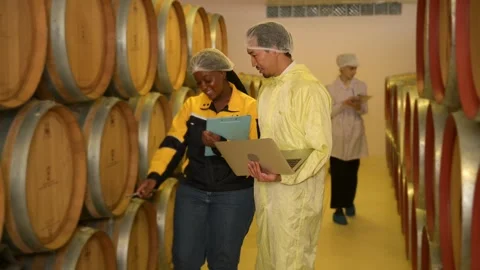 Professional winemaker controlling wine making process and quality at winer.. Stock Footage 286715638