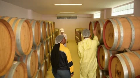 Professional winemaker controlling wine making process and quality at winer.. Stock Footage 286715641