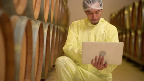 Professional winemaker controlling wine making process and quality at winer.. Stock Footage 286715680