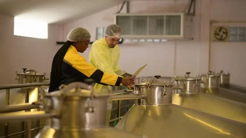 Professional winemaker controlling wine making process and quality at winer.. Stock Footage 286716031