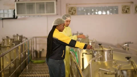 Professional winemaker controlling wine making process and quality at winer.. Stock Footage 286716070