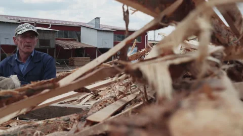 Professional Worker Tosses Lumber Material Scrap Into A Processing Machine Stock Footage 171956122