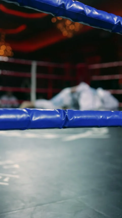 Professional Wrestling Match on Ring Stock Footage 325085115