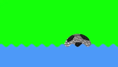 Professional Zebra Floating with Across Green Screen Element 動画素材 337470687
