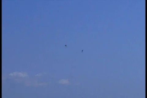 Professionals pilot in air Stock-Footage 665665