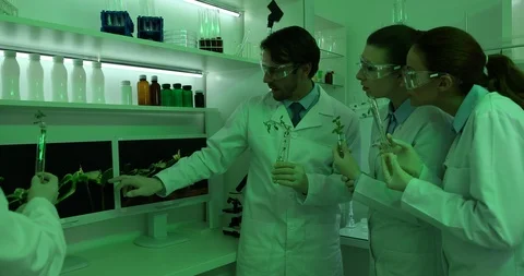 Professor Teaching Young Group of Students or Trainees About How Plants Growing Stock Footage 85540416