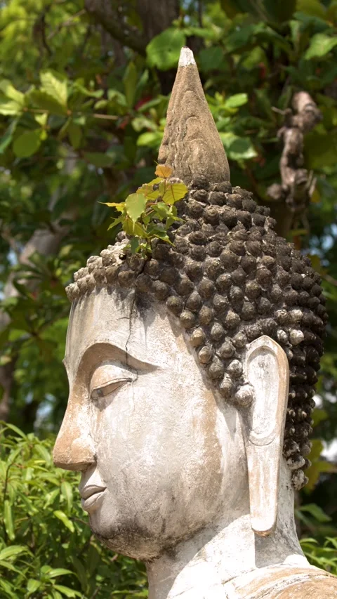 Profile of Ancient Buddha Statue Head in Ayutthaya Thailand 動画素材 346664511