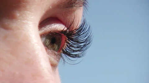 Profile of beautiful eyes Stockbeeldmateriaal 2103082