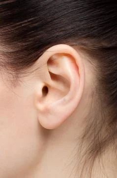 Profile close ear Foto stock