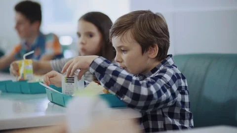Profile of a elementary schoolboy having lunch in school canteen sitting by Stock Footage 111971036