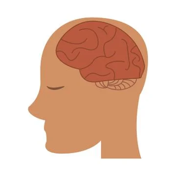 Profile head brain idea imagination 스톡 일러스트