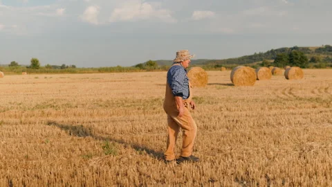Profile of heavy senior farmer walking across the rural summer field. Stock Footage 342174456