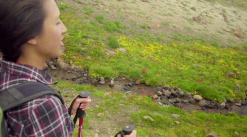 Profile of hiker Stock Footage 59483984