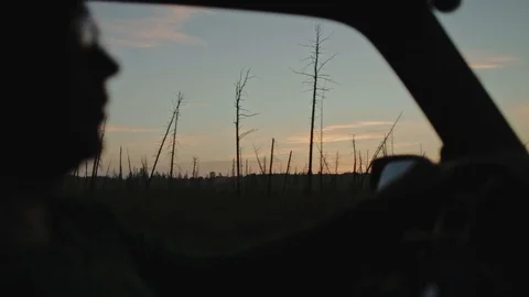 Profile of man drives a car at sunset Stock Footage 101010717