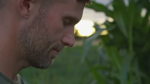 Profile of a Mans Head Bowed in Prayer in a Corn Field Stock Footage 208784458