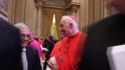 PROFILE: Pope Leo XIV's path to papacy a... Stock Video Pond5