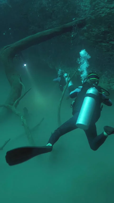Profile of scuba diver underwater Stock Footage 341360413