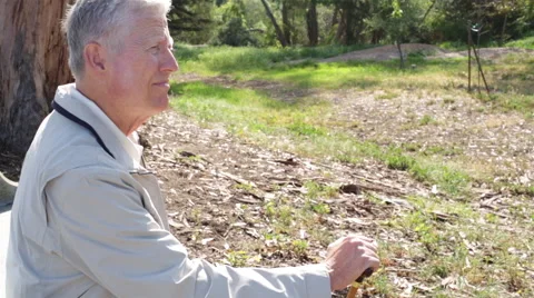 Profile of Senior Elderly Man Sitting Alone in Park Stock Footage 48343444