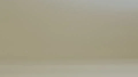 Profile of a turtle with a cardboard box on a shell on a beige background in the Stock Footage 159015145