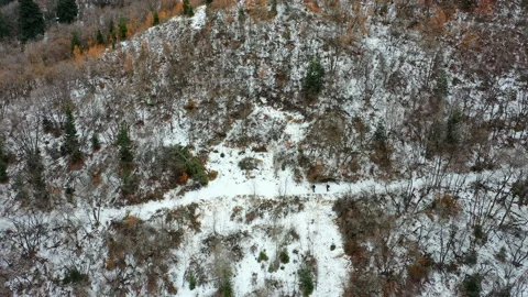 Profile of Two Hikers on a Snow-Covered Mountainside Video stock 147362091