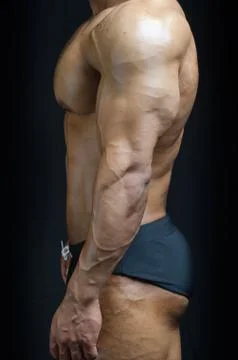 Profile view of bodybuilder torso, pecs, arm, abs Stock Photos