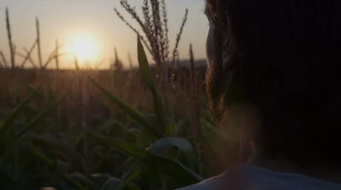 Profile view of handsome man with beard with nature landscape in sunset/sunrise. Vidéo 54231497