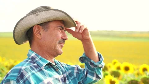 Profile view of a senior farmer standing in sunflower field Stock Footage 137101909