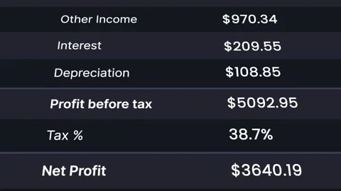 Profit and Loss Statement Shows Transitions 4K animation. 库存影片 334380556
