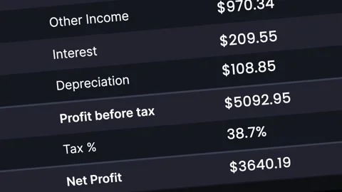 Profit and Loss Statement Shows Balance Sheet UI Interface 4K animation. 库存影片 334380564