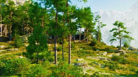 Profusion of trees in the Alps are illuminated by the sun's rays Stock Illustration