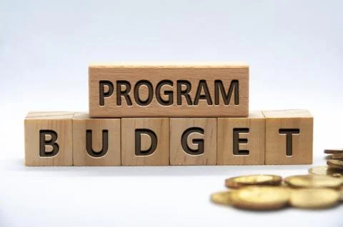 Program budget text engraved on wooden blocks on white background cover Stock Photos