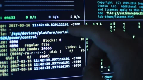 Program code developer analyzing digital data display on the computer's monitor Stock Footage 201289918