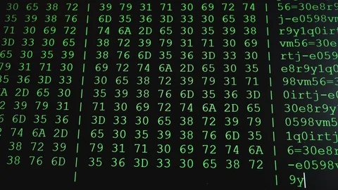 Program code on PC screen Stock Footage 129626017