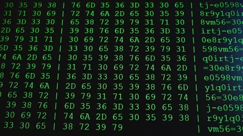 Program code on PC screen Stock Footage 130155831