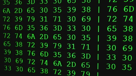 Program code on PC screen Stock Footage 130727785