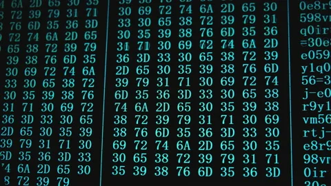 Program code on PC screen Stock Footage 130729362