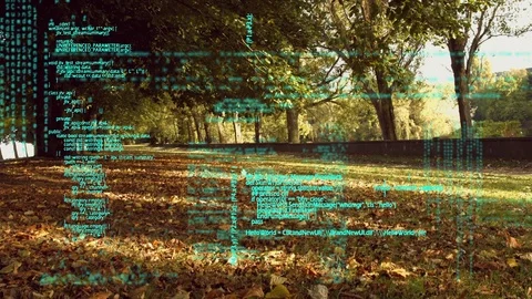 Program codes in a park Stock Footage 107675821