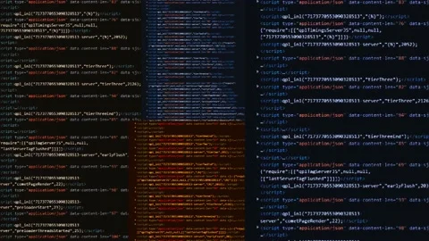 Program develope animation background. software programming animation. Stock Footage 224278862