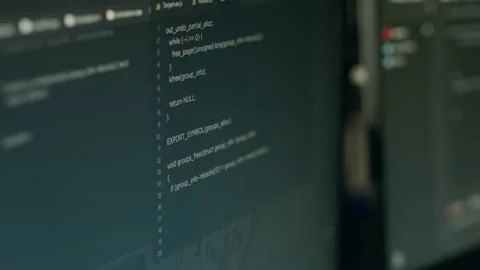 Program development with data on terminal window Stock Footage 227612864