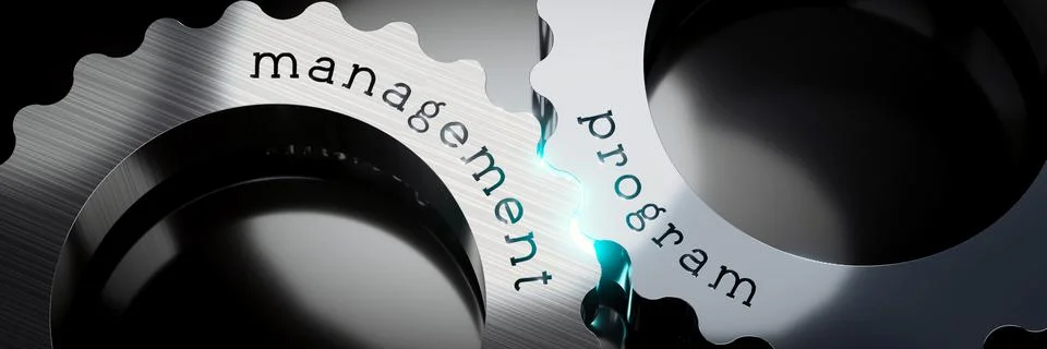 Program management - gears concept - 3D illustration Illustrazione stock