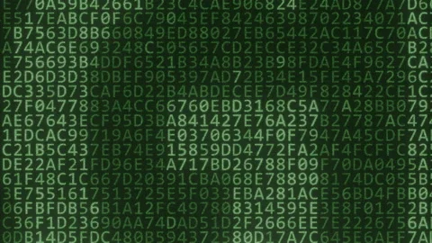 PROGRAM text made with many symbols on computer screen, 3d animation Stock Footage 161729171