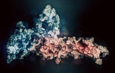 Programmed cell death 1 (PD-1, CD279) immune checkpoint protein Stock Illustration